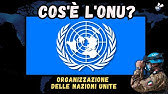 ONU: tutto quello che c'è da sapere
