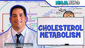 Metabolism | Cholesterol Metabolism