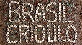 O Povo Brasileiro - Episódio 5: Brasil Crioulo