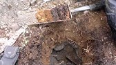 The Science of Soil: Why Study Soil?