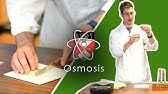 Osmosis - GCSE Science Required Practical