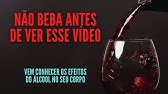 OS EFEITOS DO ÁLCOOL NO CORPO HUMANO I APRENDI ENSINANDO
