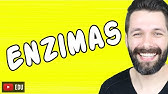 ENZIMAS - BIOQUÍMICA | Biologia com Samuel Cunha