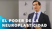 El poder de la neuroplasticidad para desplegar tu verdadero potencial | Mario Alonso Puig