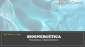 Fotossíntese e quimiossíntese