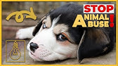 Solutions To End Pet Abuse - Solutionaries