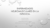 Prof. Dr. Javier Linzoain - Enfermedades neuromusculares