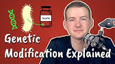 Genetic Modification Explained || Insulin-Producing Bacteria