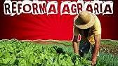 CONCENTRAÇÃO FUNDIÁRIA E REFORMA AGRÁRIA NO BRASIL