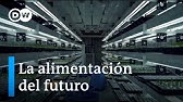 Soluciones para alimentar al mundo en el futuro