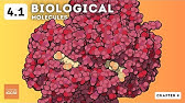 IGCSE Biology - Biological Molecules (4.1)