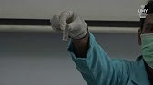 Praktikum Biomedis Analisis Kolesterol dan Trigliserida