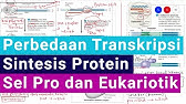 Perbedaan Proses Transkripsi Sintesis Protein pada Sel Prokariotik dan Sel Eukariotik)