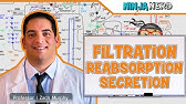 Renal | Filtration, Reabsorption, and Secretion: Overview