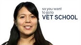 What You Need to Know About Paying for Veterinary School