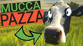 EPIDEMIA tra i BOVINI - Storia della Mucca Pazza