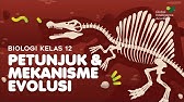 BIOLOGI Kelas 12 - Petunjuk & Mekanisme Evolusi | GIA Academy