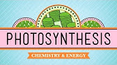 Photosynthesis: Crash Course Biology #8