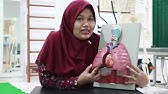 Praktikum Anatomi Fisiologi Sistem Respirasi bu Dewi