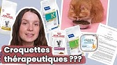 Décryptage sur les Croquettes Vétérinaires ou Thérapeutiques : Science, Réglementation, Santé ...