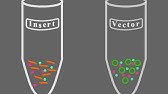 Key Steps of Molecular Cloning