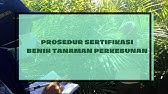 Prosedur Sertifikasi Benih Tanaman Perkebunan