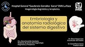 Embriología, anatomía radiológica del aparato digestivo