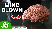 5 Brain Facts That Will Blow Your Mind