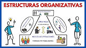 ESTRUCTURAS ORGANIZATIVAS de una EMPRESA ➕ Ejemplos  | Economía de la empresa 147#