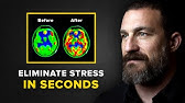 Neuroscientist: You Will NEVER Feel Stressed Again | Andrew Huberman