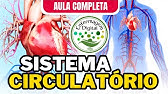SISTEMA CIRCULATÓRIO - AULA COMPLETA - SISTEMA CARDIOVASCULAR