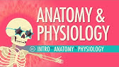 Introduction to Anatomy & Physiology: Crash Course Anatomy & Physiology #1