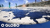 O tamanho do estrago do óleo vazado no litoral brasileiro