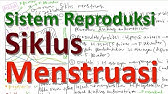 Tahapan Siklus Menstruasi