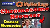 MyHeritage Chromosome Browser & AutoCluster (2023)