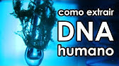 Como extrair DNA humano (EXPERIÊNCIA)