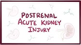 Postrenal acute kidney injury (acute renal failure) - causes, symptoms, & pathology