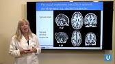 How Does a Child's Brain Develop? | Susan Y. Bookheimer PhD | UCLAMDChat