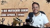 TUDO SOBRE CAPRINOS E OVINOS, ORIGENS , MANEJO E CURIOSIDADES