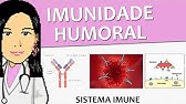 Imunologia 14 - Mecanismos da Imunidade Humoral - Anticorpos e seus receptores (vídeo-aula)