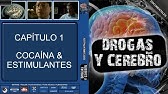 Documental •Drogas y Cerebro• «1 Cocaina y Estimulantes» Español/Castellano ◄HD►