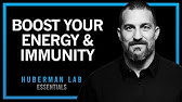 Boost Your Energy & Immune System with Cortisol & Adrenaline | Huberman Lab Essentials