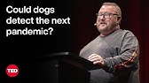 Can Dogs Detect the Next Pandemic Before It Begins? | Glen J. Golden | TED