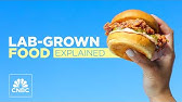 Lab-grown meat is on the rise — here's how it is made