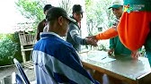 Klinik tanaman desa sindangprabu wanaraja garut