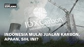 Indonesia Mulai Jualan Karbon. Apaan Sih Ini? | Narasi Explains