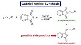 Gabriel Amine Synthesis