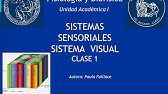 Sistema Visual-Óptica