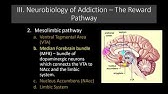 Lecture 11   The Neurobiology of Addiction  The Reward Pathway