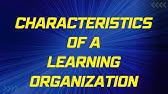 Characteristics of a Learning Organization: A 5-Minute Overview